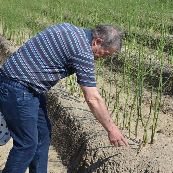 Freie Wähler besuchten Spargelregion